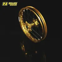 D.Gold-Gold Black-Spokes (7)