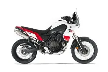0019572_terminale-sp-1-short-300-titanium-yamaha-tenere-700-euro-45_1000 (2)