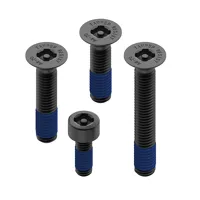 Quad Lock® Anti-Theft Screw Kit Quad Lock® Anti-Theft Screw Kit